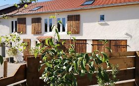 Wohnkultur zum Leben - Gästeappartements